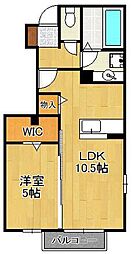 オータムコート 2棟 1階/-