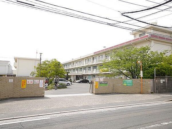 画像16:曽根中学校(800m)