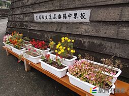 ルピナスシーサイド　D棟