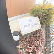 共有部分