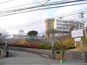 ウエストリバー基山 203 ｜ 佐賀県三養基郡基山町大字小倉481-28（賃貸マンション2LDK・2階・62.80㎡） その29