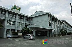 ソレアード田代