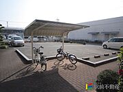 駐車場の様子