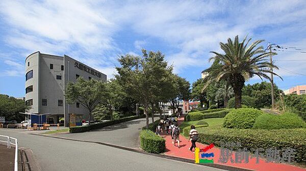 ステーションタウン大善寺II 102｜福岡県久留米市大善寺町宮本(賃貸アパート3DK・1階・62.10㎡)の写真 その4