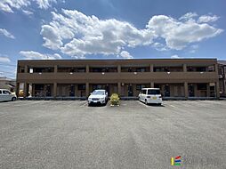 ピュアライズ 107