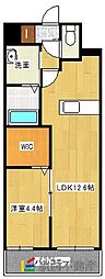 シャイネス 1LDKの間取図画像