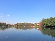 洗足池公園 徒歩2分。 110m