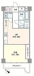 シャンボール大森