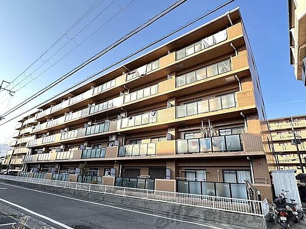 若園11番館 503｜大阪府茨木市若園町(賃貸マンション3LDK・5階・65.00㎡)の写真 その20