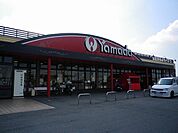 ヤマダストアー北野店 徒歩11分。 880m
