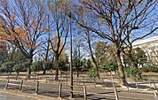 西戸山公園（493m）
