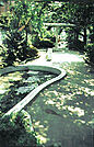 千川親水公園（338m）