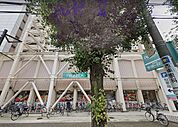 ピーコックストア 目白店（468m）