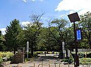 戸山公園（525m）