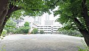 新宿区立花園小学校（748m）