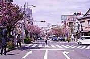 桜新町商店街（730m）