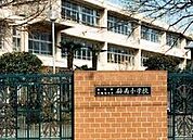 砧南小学校（156m）