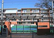 豊島区立池袋第三小学校（521m）