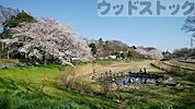 どじょう池 徒歩8分。 600m