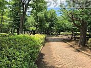 板橋区立赤塚新町公園 徒歩9分。 700m