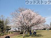 都立東村山中央公園 徒歩17分。 1310m