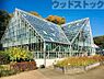 周辺：東京都薬用植物園 徒歩17分。 1290m