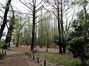 稲荷山憩いの森 徒歩12分。 900m