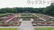 神代植物公園 徒歩16分。 1280m