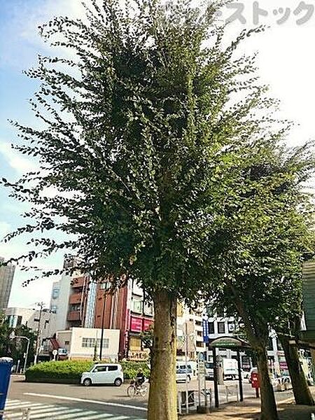 周辺を拡大表示