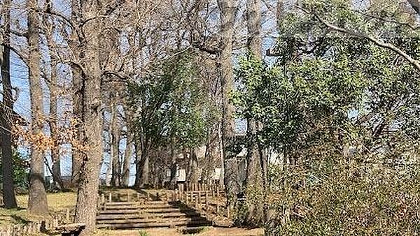 周辺を拡大表示