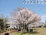 周辺：都立東村山中央公園 徒歩4分。 300m
