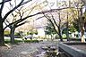 周辺：つつじ公園 徒歩12分。 890m