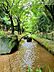 周辺：春の風公園 水遊び施設 せせらぎ 徒歩12分。 940m