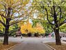 周辺：東京都立光が丘公園 徒歩13分。 980m