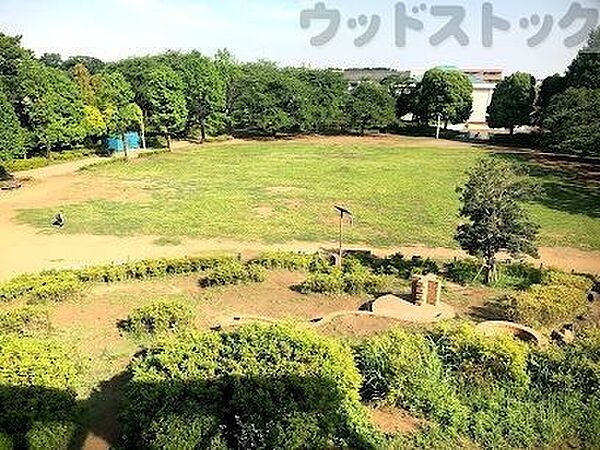 周辺を拡大表示