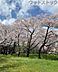 周辺：矢嶋公園 徒歩22分。 1690m