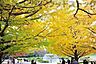 周辺：国営昭和記念公園 徒歩29分。 2300m