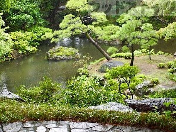 周辺を拡大表示