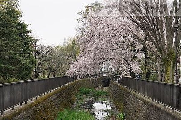 周辺を拡大表示