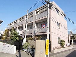 グレイスコート