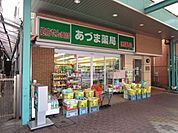 あづま薬局 450m