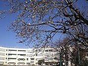 日野市立旭が丘小学校  1030m