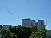 中央大学 1800m