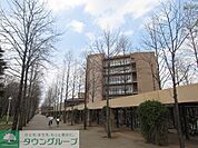 国立東京外国語大学 徒歩36分。大学・短大 2820m