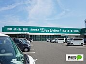 ドラッグストア 「スーパーエバグリーン福島店まで733m」