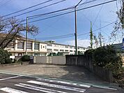 犬山市立　南部中学校 50m
