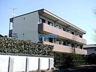 福岡県久留米市東合川町：物件画像／うめの地所株式会社　ピタットハウス新合川店
