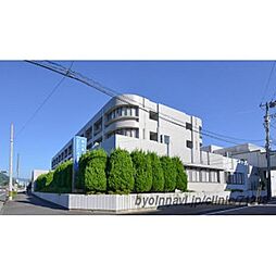 ウィステリア