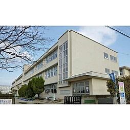 イルマーレ
