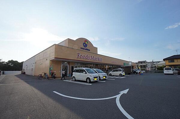 サンスターレ安城寺 303 号室｜愛媛県松山市安城寺町(賃貸マンション3LDK・3階・70.20㎡)の写真 その26